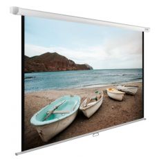 Экран для проектора Cactus WallExpert CS-PSWE-220x138-WT настенно-потолочный